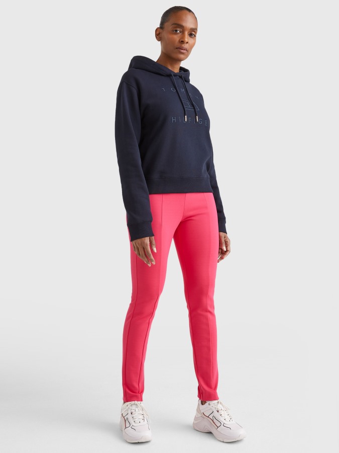 Sudadera Con Capucha Y Logo Bordado Metalizado Desert Sky Argentina De Tommy Hilfiger